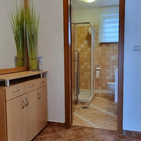 公寓 Apartma Berny 科佩尔